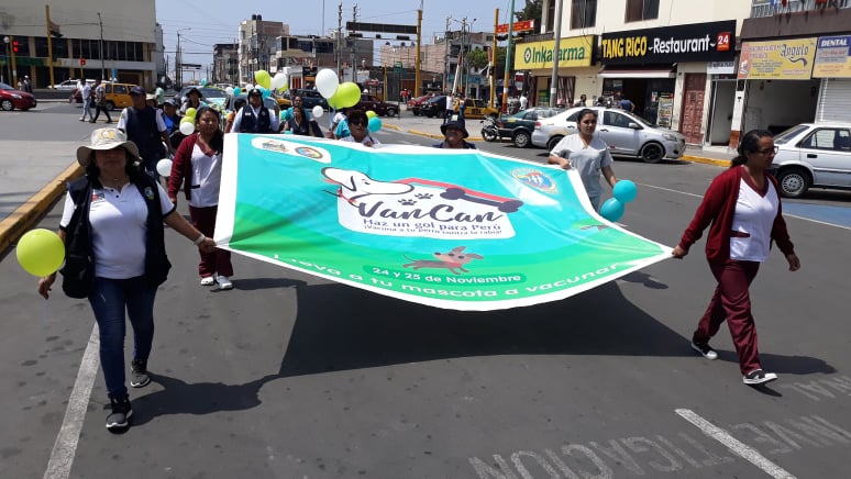 Chimbote: esperan vacunar más de 23 mil canes este 24 y 25 de noviembre