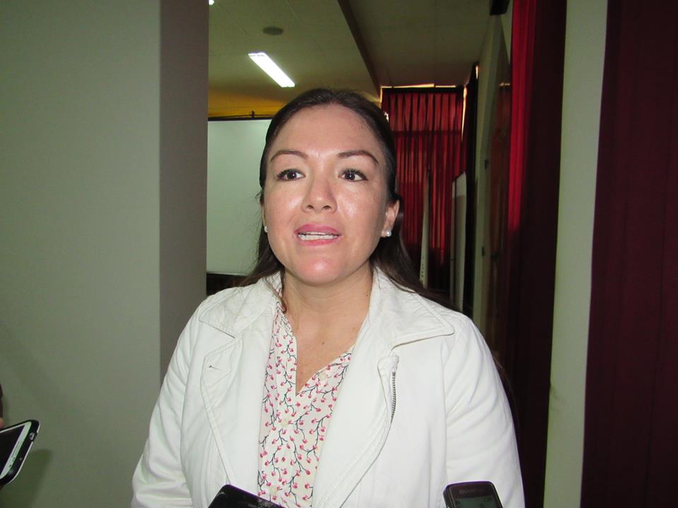 Directora de la Red de Salud Sur rechaza haberse opuesto a construcción de veterinaria municipal
