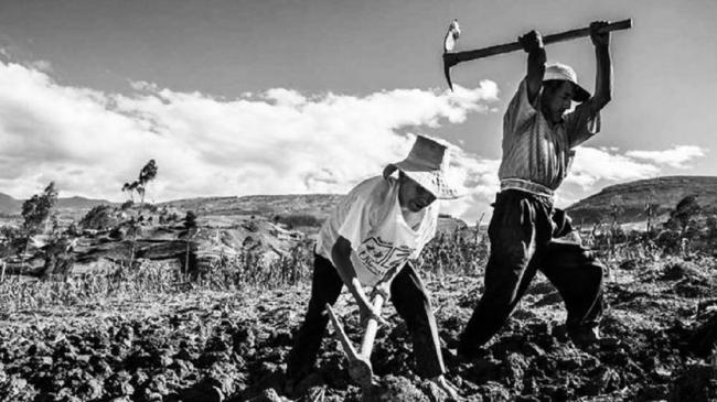 Reforma Agraria, cincuenta años y algo más…por venir