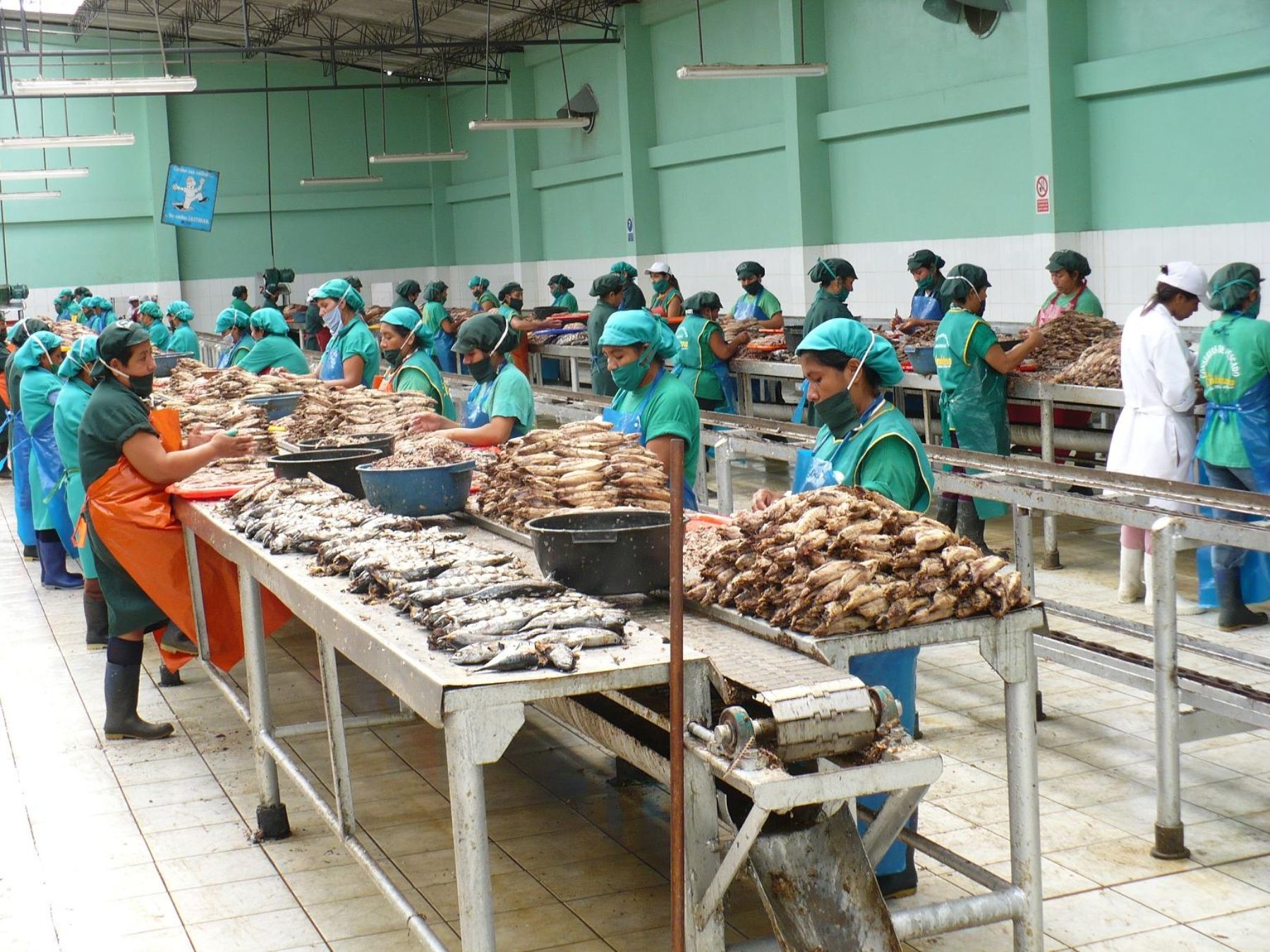 Áncash entre las regiones que más crearon empresas en el 2015