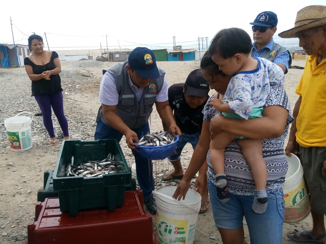 Reparten una tonelada de anchoveta en extensión del pueblo joven San Pedro
