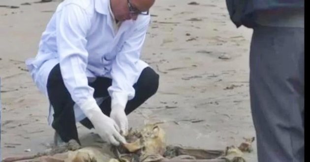 Hallan cráneos y restos humanos en la zona Pampa La Carbonera en Nuevo Chimbote