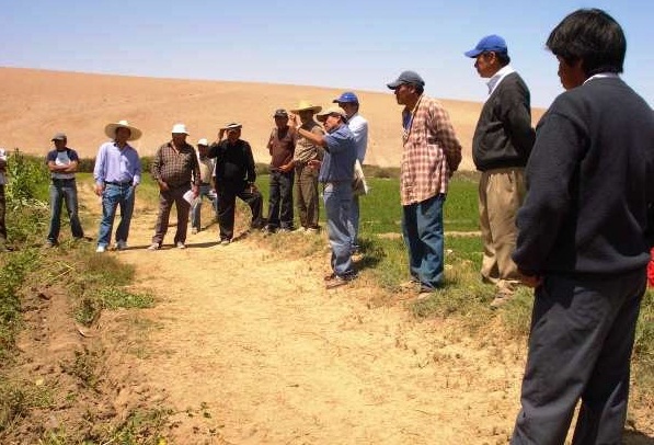   Ministerio de Agricultura dejó pendiente calificación de posesionarios de Chinecas