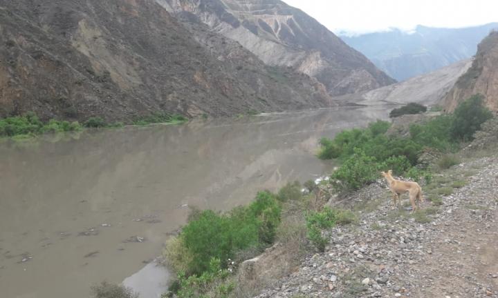 Evacuarán a 400 pobladores en Pataz ante peligro de ser sepultados por río Sihuas de Áncash