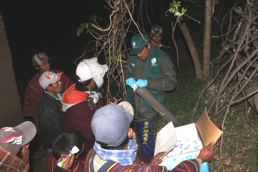 Macate: advierten presencia de roedores en caserío de Cayán tras constantes lluvias 