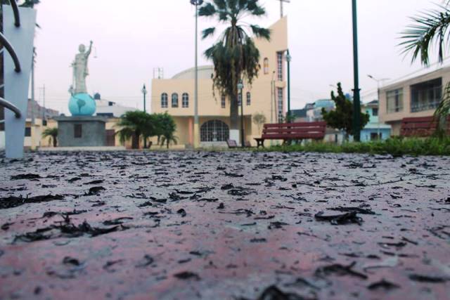 Alcalde afirma que ya existe denuncia por contaminación ambiental en San Jacinto 