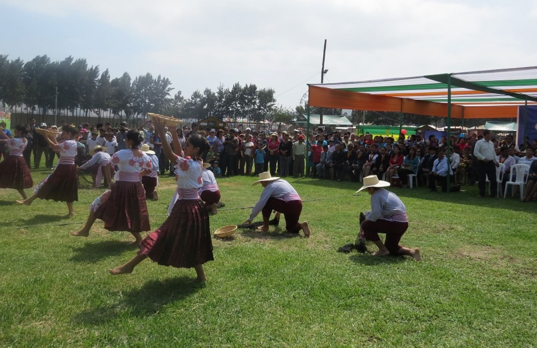 Convocan a presentar actividades para programa oficial de San Pedrito 2017