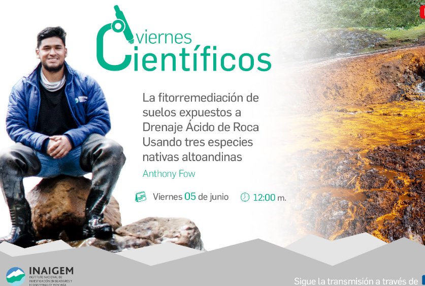 Se podrían recuperar los suelos contaminados con plantas nativas