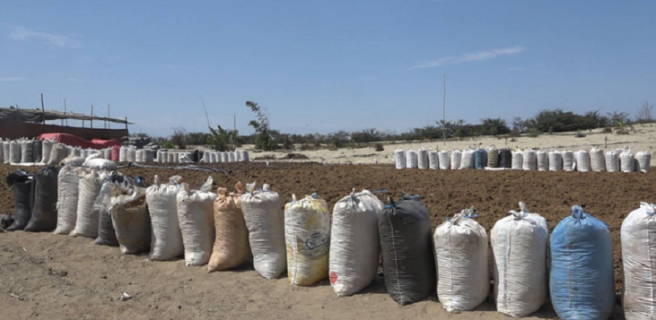 Chimbote: incautan más de 1,100 sacos de harina de pescado en fábrica clandestina