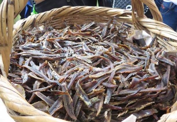 Técnica de secado de anchoveta es declarado Patrimonio Cultural de la Nación