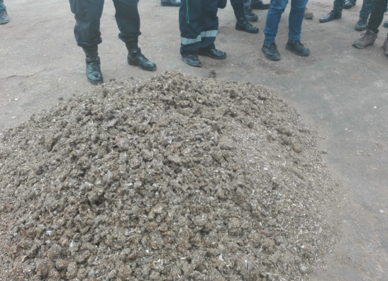 Intervienen local clandestino de secado de  residuos sólidos en Coishco