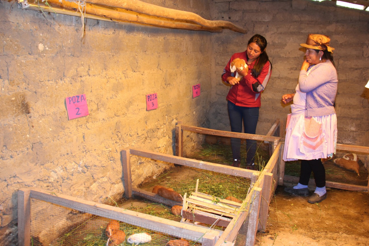 Octava Semana de la Inclusión Social abordará avances y retos frente a la pobreza