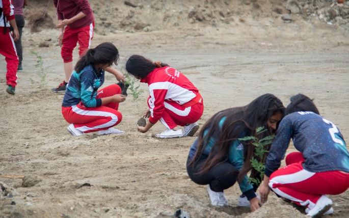 Escolares de I.E.  Fe y Alegría, MPS y Serfor sembraron 125 árboles en humedales de Villa María