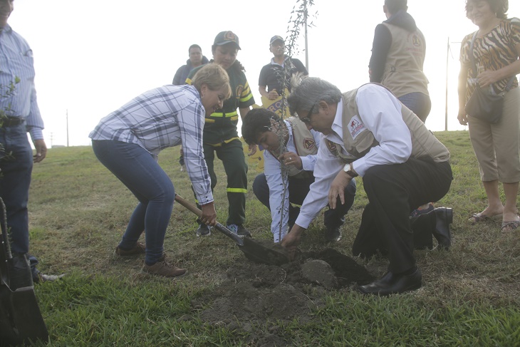 Chimbote: MPS y Rotary inician sembrado de árboles en el óvalo “Fraternidad”