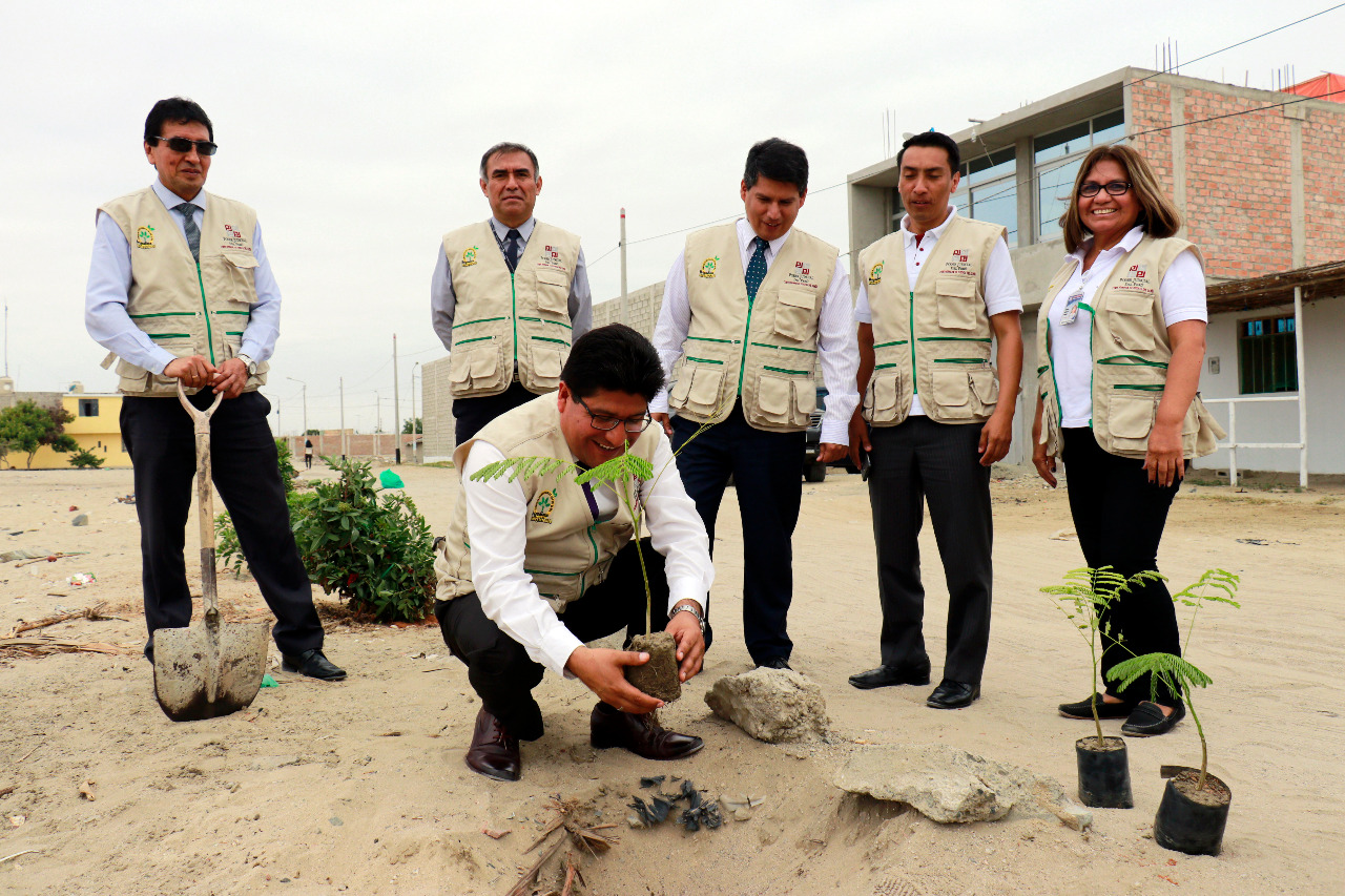 Comité de Ecoeficiencia de Corte del Santa siembra plantones en terreno de San Luis