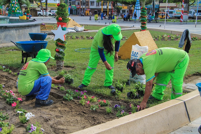 Inician sembrado de plantas para embellecer la Plaza de Armas de Chimbote