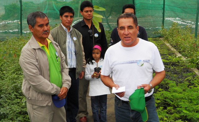 Sembrarán cien mil árboles para cuidar el medio ambiente y embellecer Chimbote