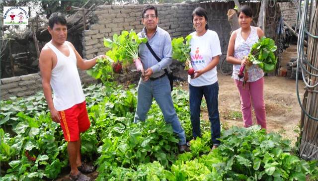 Proyecto “Sembrando Infancia” lucha contra la desnutrición infantil en Chimbote 