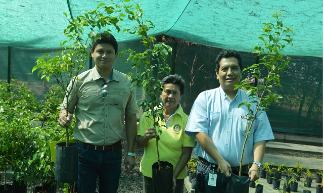 Rotary Club Chimbote y Siderperú sembrarán 40 mil árboles e implementarán 15 biohuertos en colegios