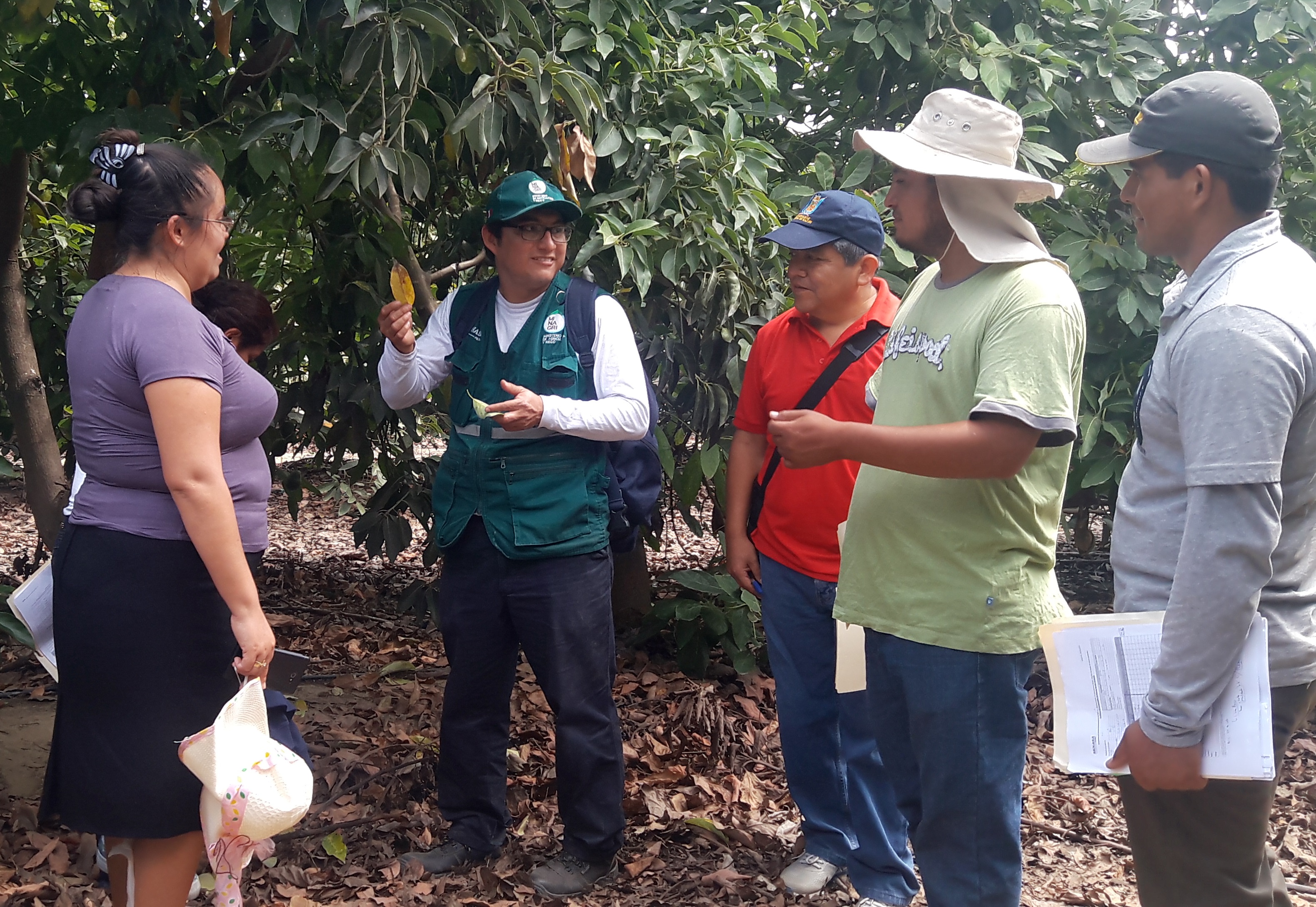 Senasa asegura continuidad de servicios en beneficio de la agricultura nacional