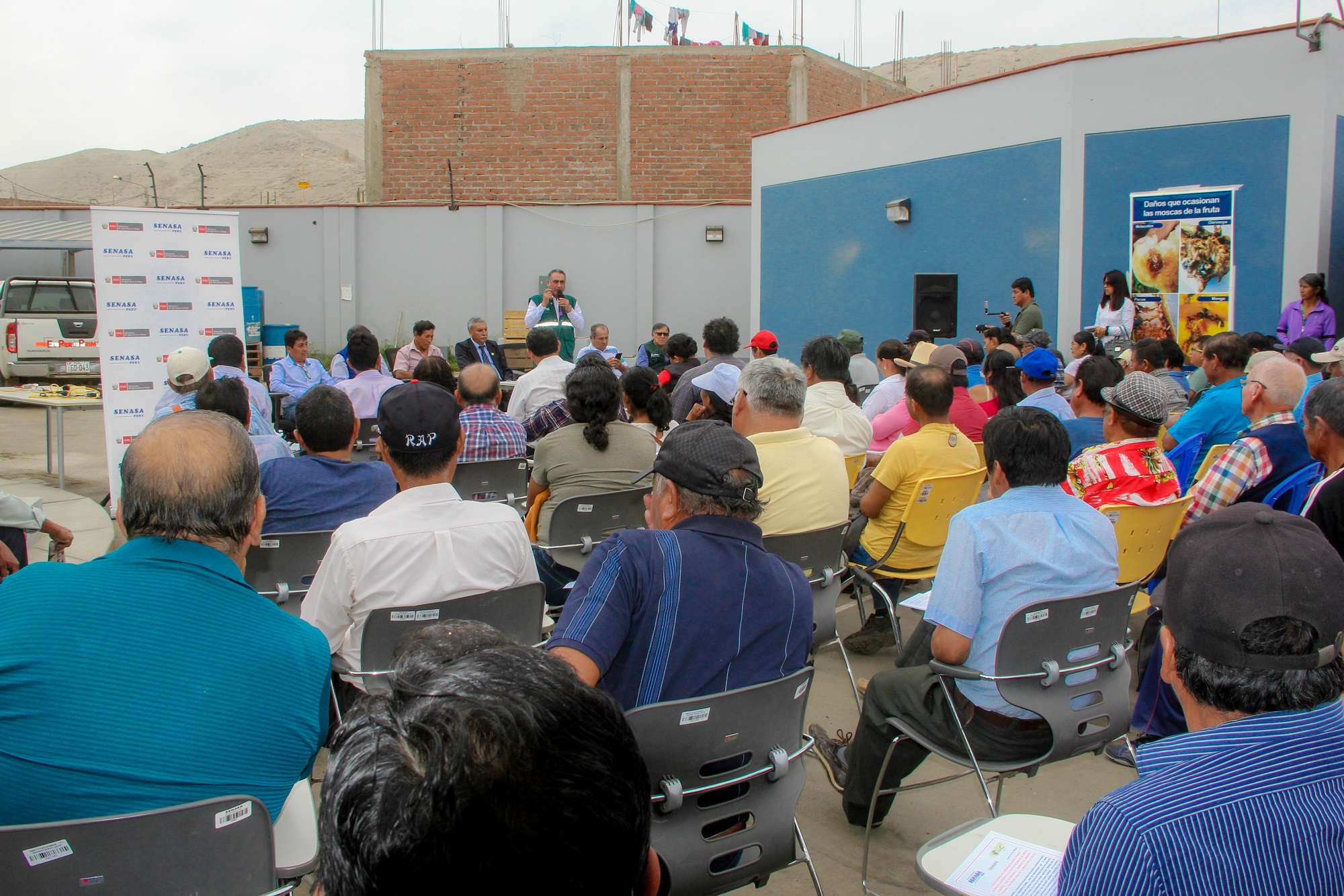 Senasa y productores de mango de Casma fortalecen acciones sanitarias para mantener exportación a Europa