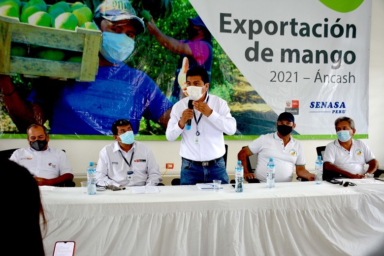 Senasa y productores de Áncash abren Campaña de Exportación de Mango 2021