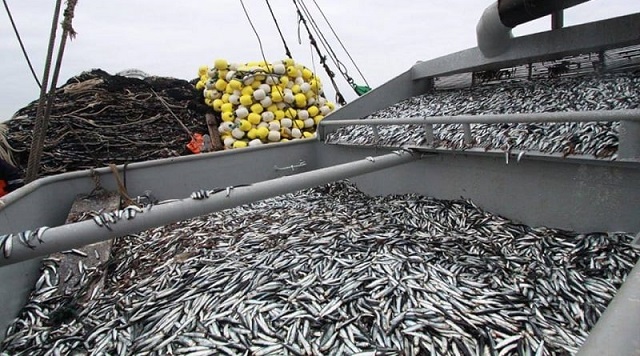 Patrón de lancha deberá pagar 116 mil soles por pescar con permiso suspendido en Chimbote