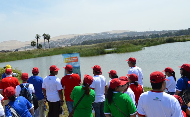 Existen 120 hectáreas de humedales al interior de planta siderúrgica de Chimbote