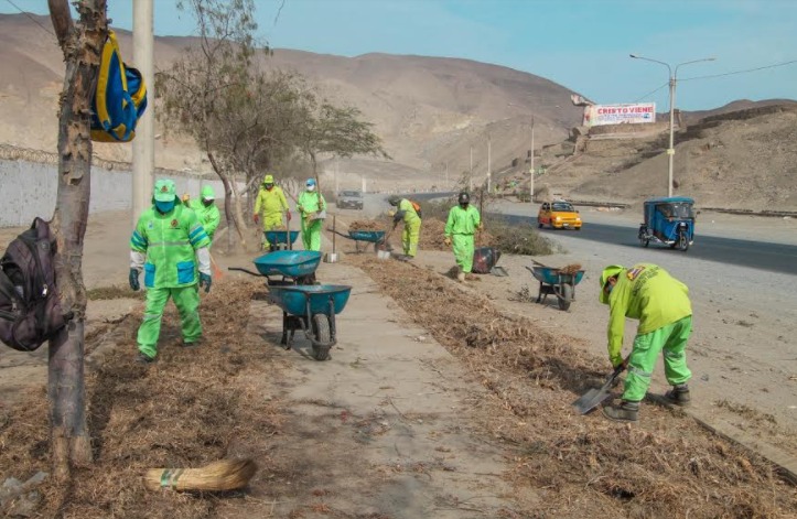 Sembrarán más de 700 árboles en la Panamericana Norte a la salida de Chimbote