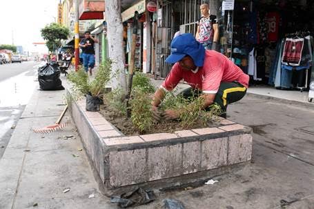 Sembrarán 15 000 plantas en la ciudad de Chimbote