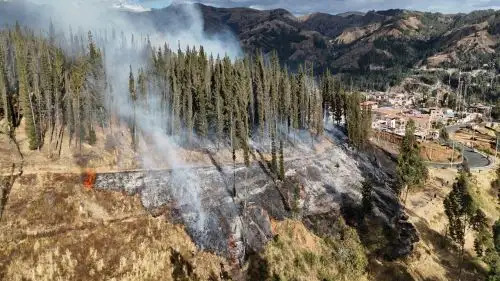 Áncash: este lunes 29 de septiembre se realizará el primer simulacro ante incendios forestales