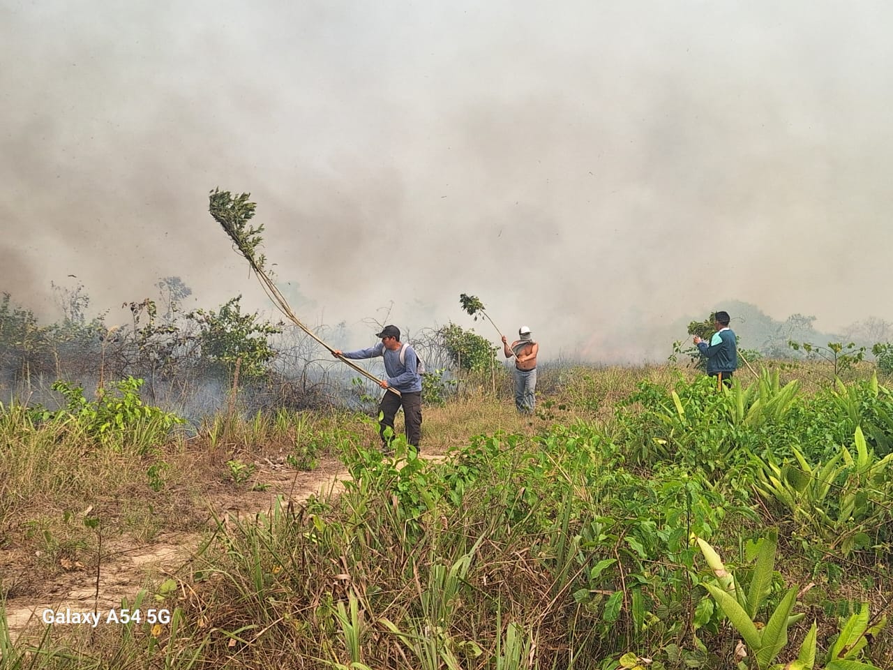 Sitios del Patrimonio Mundial no fueron afectados por los incendios forestales