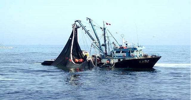 Temporada de pesca de anchoveta inicia mañana y Direpro busca minimizar riesgos de contagio de Covid-19