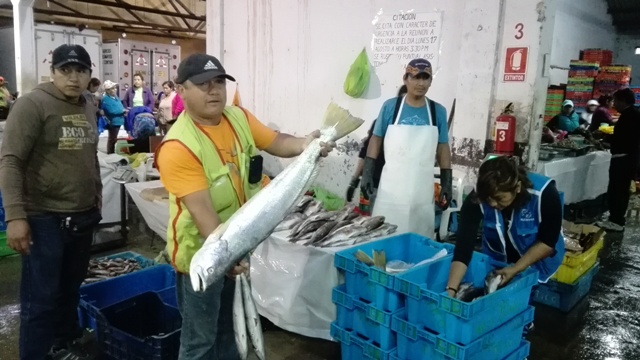 Piden apoyo para que terminal pesquero al costado de Enapu Chimbote siga funcionando