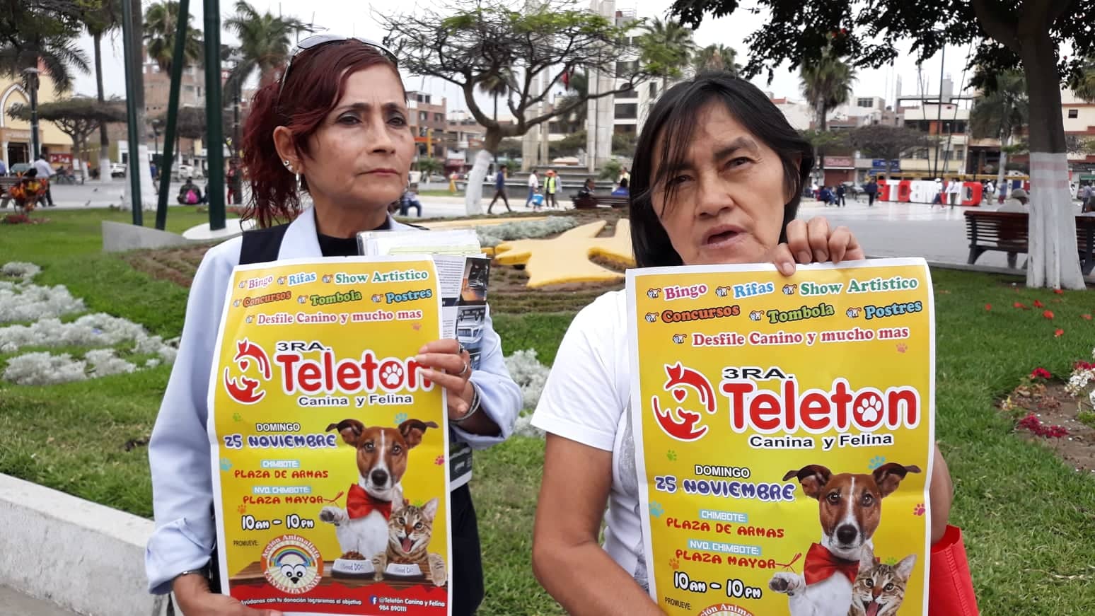 Con teletón buscan esterilizar a más de mil perros y gatos callejeros en Chimbote y Nuevo Chimbote