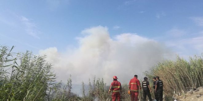 25 incendios forestales se han registrado en lo que va del año en la región Áncash