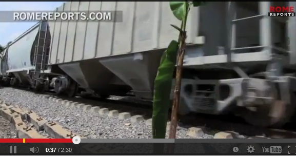 México: Las Mujeres que ayudan a inmigrantes en su peligroso viaje a EE.UU (Video)