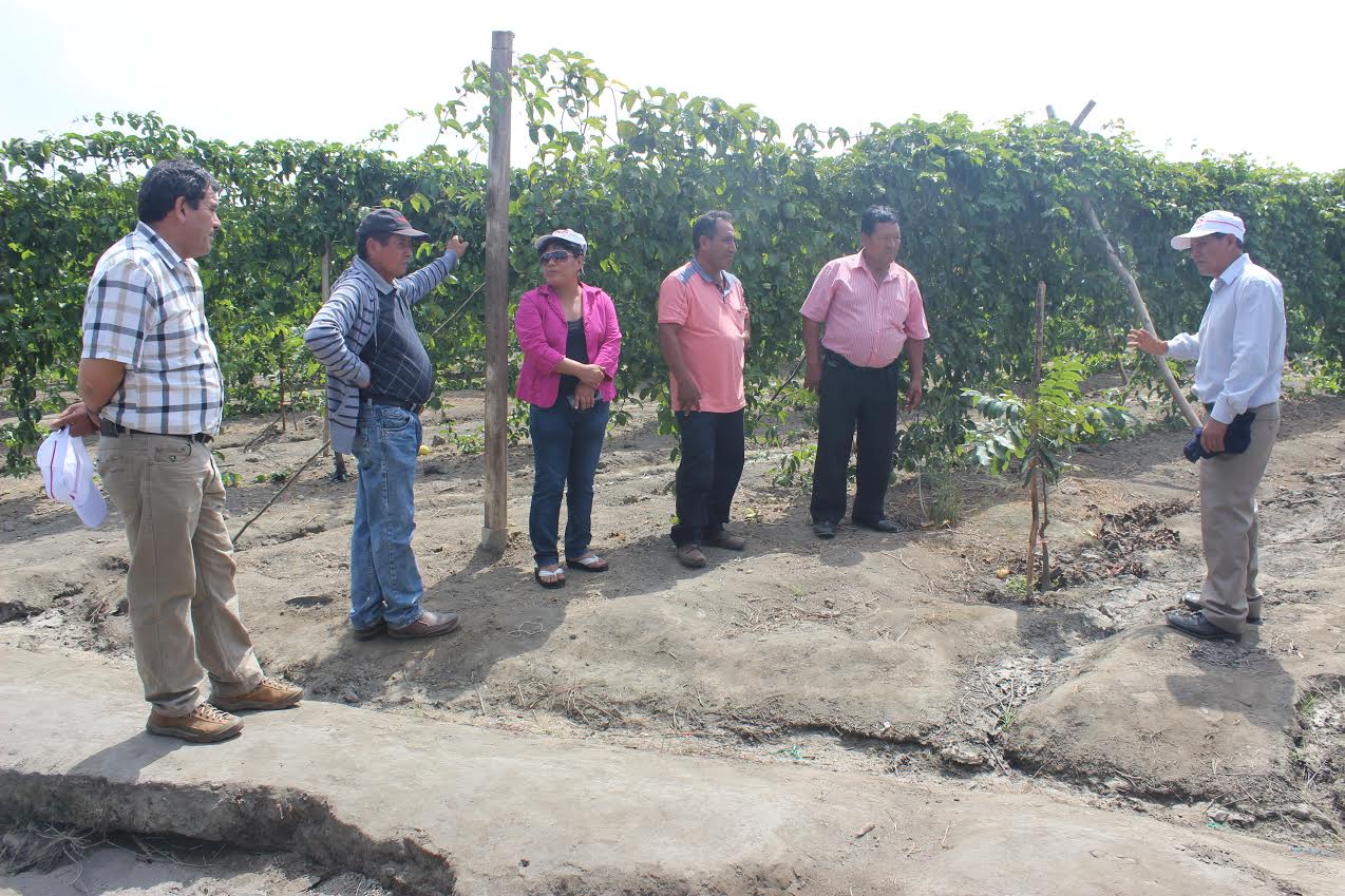  La UNS inicia capacitación a campesinos de la zona agraria del Santa
