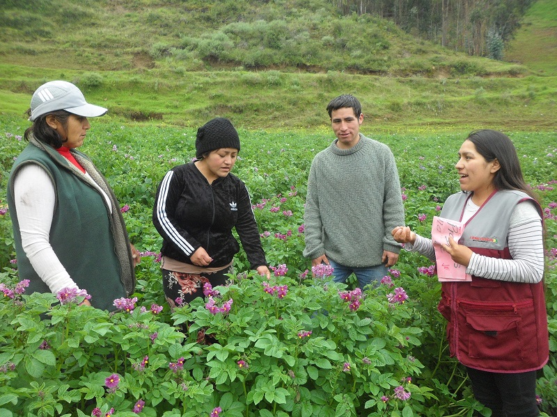 Más de 2 mil núcleos ejecutores implementan obras con fondos transferidos por el Estado