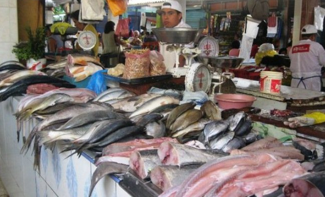 Consumo de pescado incrementará 100% por Semana Santa