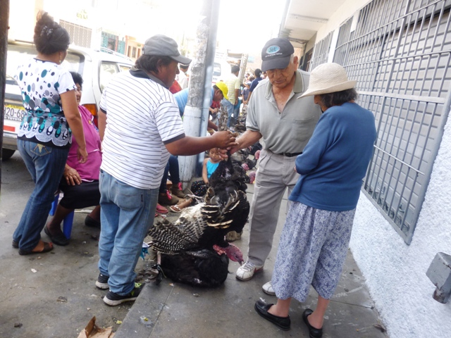 Precio del pavo se dispara pero chimbotanos lo prefieren para la Nochebuena