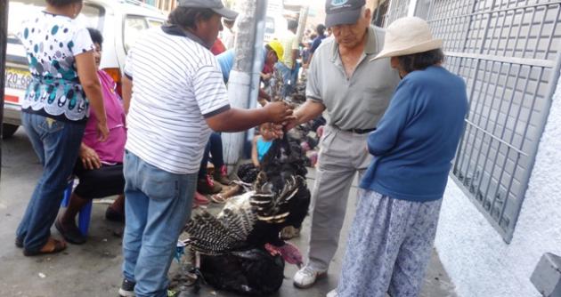 El precio del pavo y los lechones se disparan en Chimbote a pocos días de la Nochebuena
