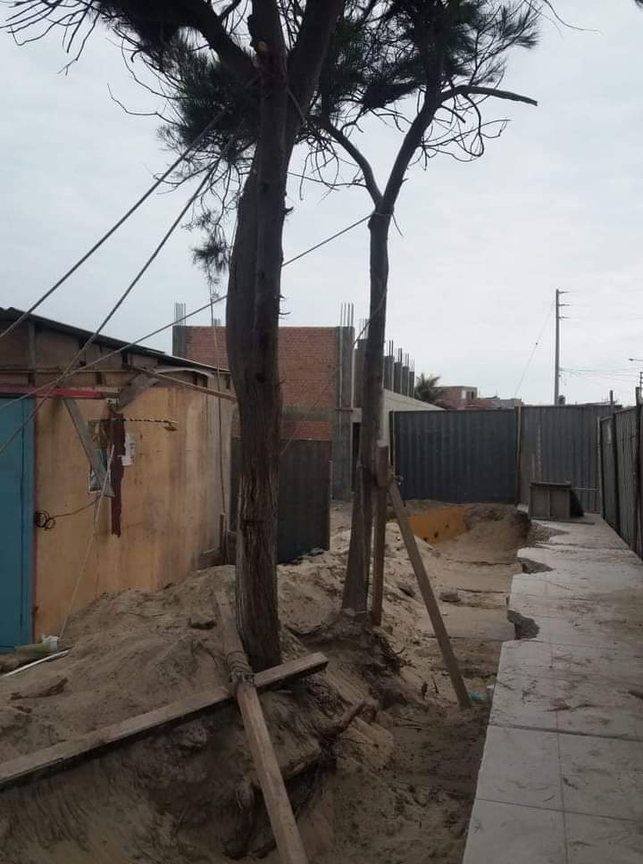 Municipalidad multó a empresa que reconstruye colegio Inca Garcilaso de la Vega por tala de árboles
