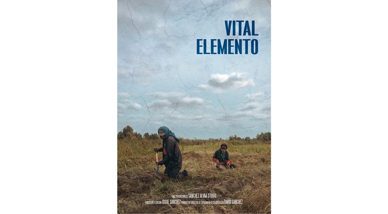 Vallejiano fue nominado por segundo año al Festival Internacional de la Imagen en México