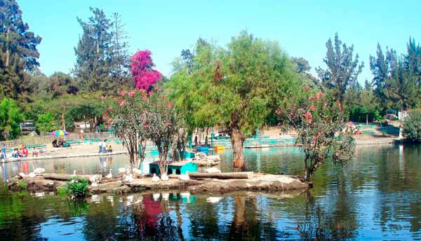 Vivero Forestal celebra 69 aniversario