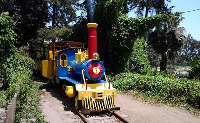 Vivero de Chimbote proyecta embellecer recorrido del tren
