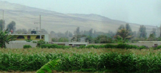 Grupo “Génesis” busca intensamente al “Goro” en varias zonas de Chimbote (avance)