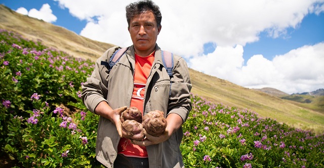 Ministro de Agricultura arribará a Huayllabamba para primera cosecha de papa nativa para exportación