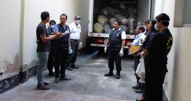 Ordenan 4 años de cárcel para comercializadores ilegales de aleta de tiburón en Chimbote