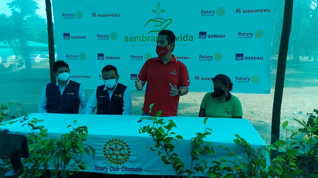 Sembrarán 30 mil árboles en distintos sectores de Chimbote y Nuevo Chimbote 